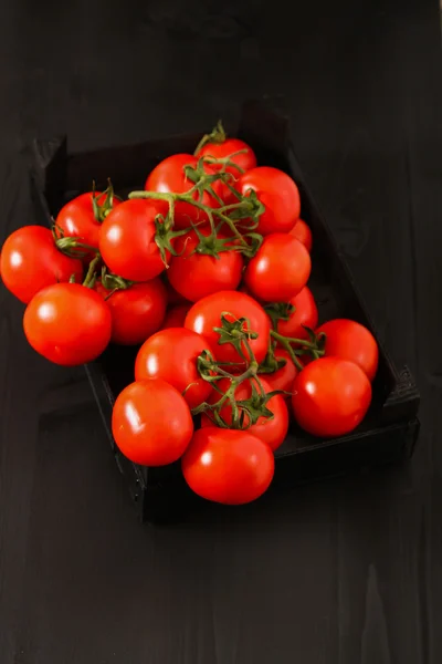 Bovenaanzicht van verse tomaten, geïsoleerd op donkere achtergrond — Stockfoto