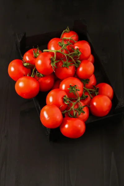 Bovenaanzicht van verse tomaten, geïsoleerd op donkere achtergrond — Stockfoto