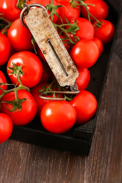 Vista superior de tomates frescos, isolados sobre fundo escuro — Fotografia de Stock