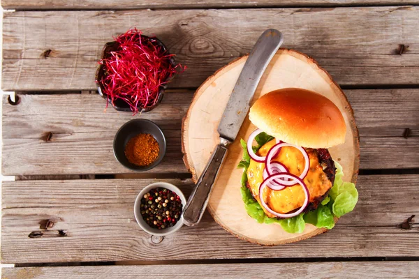 Heerlijke verse zelfgemaakte hamburger met pittige tomatensaus en rundvlees — Stockfoto