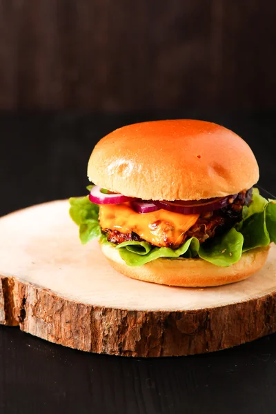 Heerlijke verse zelfgemaakte Hamburger op donkere portie bord met pittige — Stockfoto
