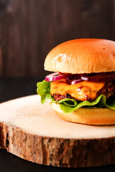 Heerlijke verse zelfgemaakte Hamburger op donkere portie bord met pittige — Stockfoto