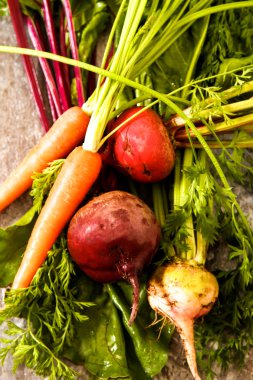 Eski bir ahşap masa üzerinde yeşil yaprakları ile organik kırmızı pancar. Pas