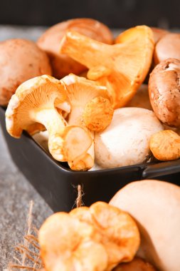 Taze beyaz mantar veya bozulmuş bir rustik bir kase içinde 