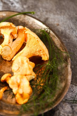 Altın cibarius bilinen cantharellus cibarius