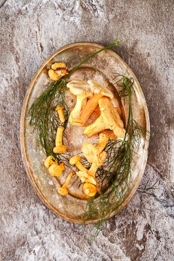 Altın cibarius bilinen cantharellus cibarius