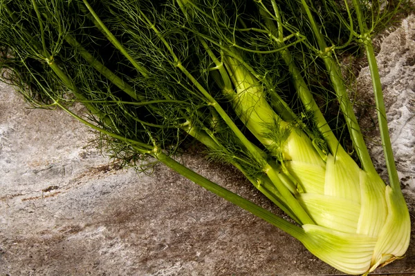 Bolbos de erva-doce orgânico cru Pronto para cozinhar. em um backg de pedra cinza — Fotografia de Stock