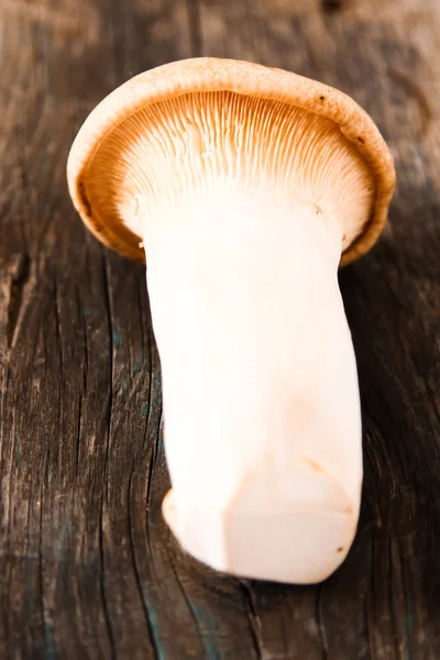 新鲜的整个白菇，或者蘑菇，在乡下人一碗 — 图库照片