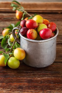 Olgun Erik bir alüminyum kupa. Koyu ahşap arka plan