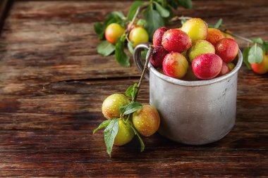 Olgun Erik bir alüminyum kupa. Koyu ahşap arka plan