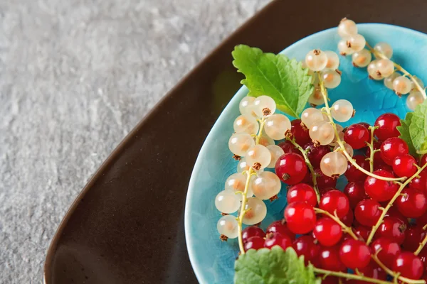 Red and white ripe currant on a blue plate. Dark wood background — Stock Photo, Image