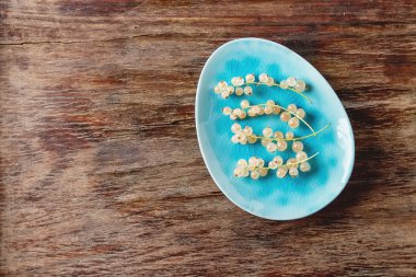 Mavi plaka üzerinde beyaz olgun Frenk üzümü. Koyu ahşap arka plan. En iyi VI