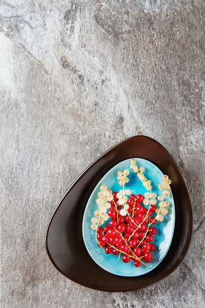 Grosella madura roja y blanca en un plato azul. Fondo de madera oscura —  Fotos de Stock