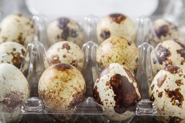 Lezzetli ev Kahvaltı