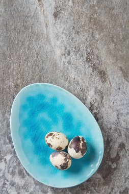 Mavi plaka üzerinde küçük bıldırcın yumurtası. Gri taş arka plan