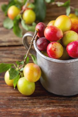 Olgun Erik bir alüminyum kupa. Koyu ahşap arka plan