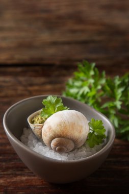 Büyük Escargots de Bourgogne - salyangoz ile sarımsak tereyağı, pişmiş