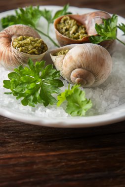 Büyük Escargots de Bourgogne - salyangoz ile sarımsak tereyağı, pişmiş