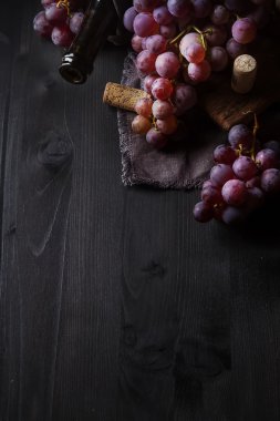 Grapevine bir ahşap tahta üzerinde. Fransız üzüm bağı. Şarap şişesi ve co