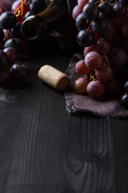 Grapevine bir ahşap tahta üzerinde. Fransız üzüm bağı. Şarap şişesi ve co