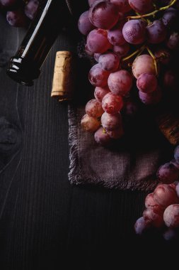 Grapevine bir ahşap tahta üzerinde. Fransız üzüm bağı. Şarap şişesi ve co