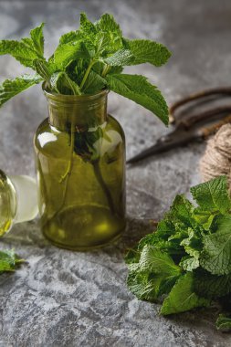 Gri taş zemin üzerine yeşil bahçe kavanoza nane fışkın