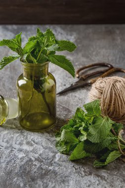 Gri taş zemin üzerine yeşil bahçe kavanoza nane fışkın