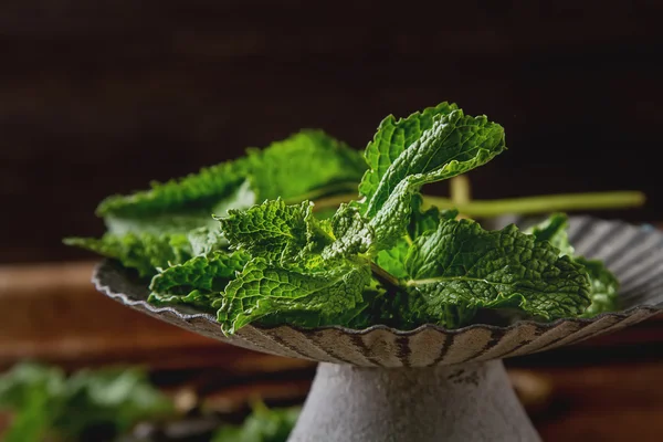 Ramo de menta con tijeras de jardín vintage. Fondo de madera — Foto de Stock