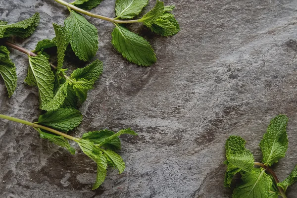 Una ramita de menta de jardín sobre un fondo de piedra gris. Vista superior — Foto de Stock