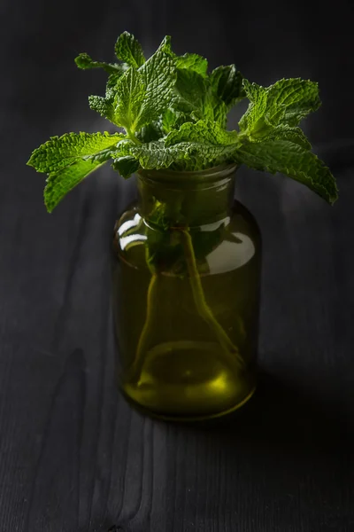 Setangkai mint dalam pot kebun hijau pada latar belakang kayu gelap — Stok Foto