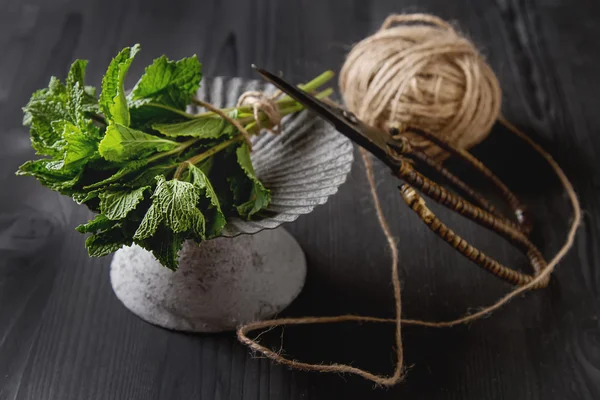 Setangkai mint kebun pada latar belakang kayu gelap dengan scis vintage — Stok Foto