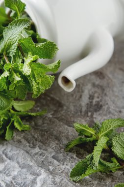 Bahçe vintage çaydanlık nane fışkın. Taş arka plan