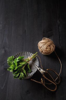 Vintage SCI koyu ahşap zemin üzerine bahçe nane fışkın