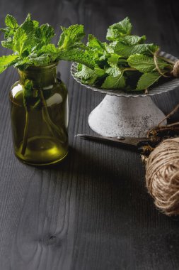 Koyu ahşap arka plan üzerinde yeşil bir bahçe tencerede nane fışkın 