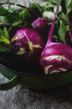 Yeşil yaprakları ile olgun mor şalgam. Gri taş arka plan. Au