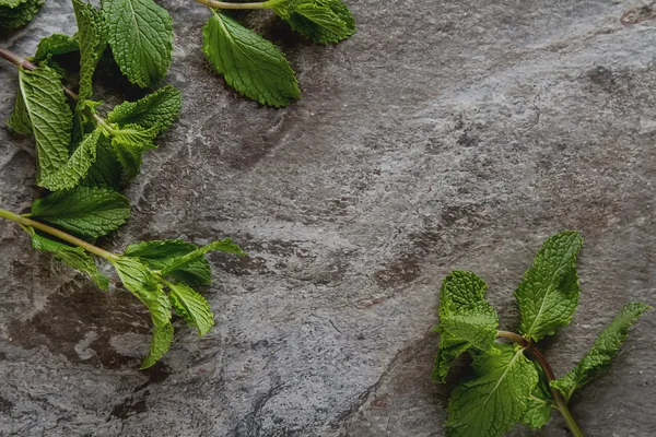 Setangkai tanaman mint di latar belakang batu abu-abu. Tampilan atas — Stok Foto