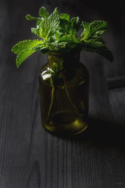 Sprig de hortelã em um pote de jardim verde em um fundo de madeira escura — Fotografia de Stock