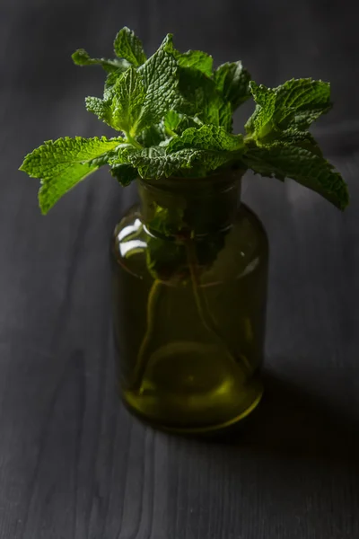 Setangkai mint dalam pot kebun hijau pada latar belakang kayu gelap — Stok Foto