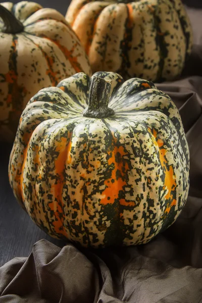 Símbolo Halloween. Calabazas maduras en la granja con un paño oscuro. B) —  Fotos de Stock