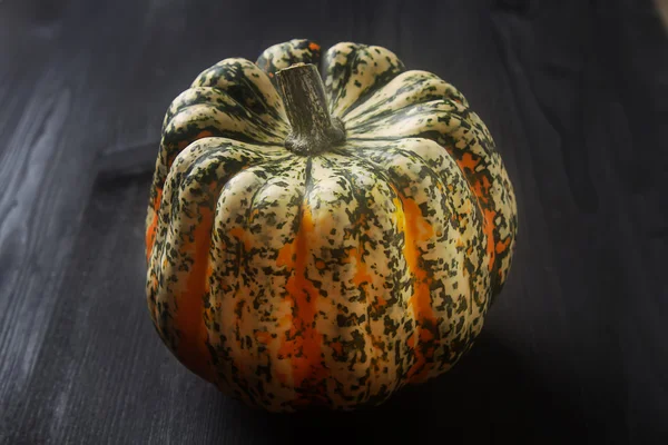 Halloween symbol. Ripe pumpkins on the farm with a dark cloth. B — Stock Photo, Image