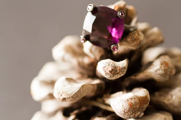 Фиолетовое кольцо — стоковое фото