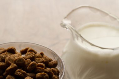 Gıda kedi