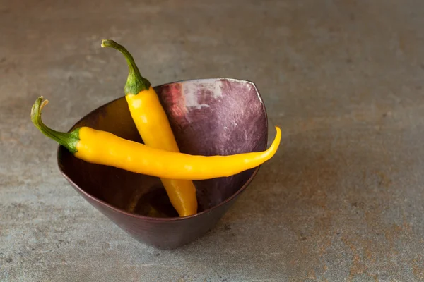 Chilischoten aus Mexiko auf grauem Hintergrund — Stockfoto