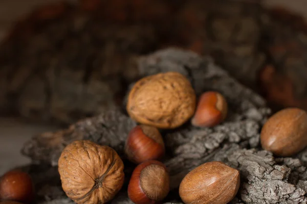 Hnědá zralé ořechy na šedém pozadí kůra — Stock fotografie
