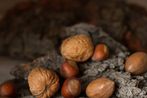 Castanhas maduras em um fundo cinza casca — Fotografia de Stock