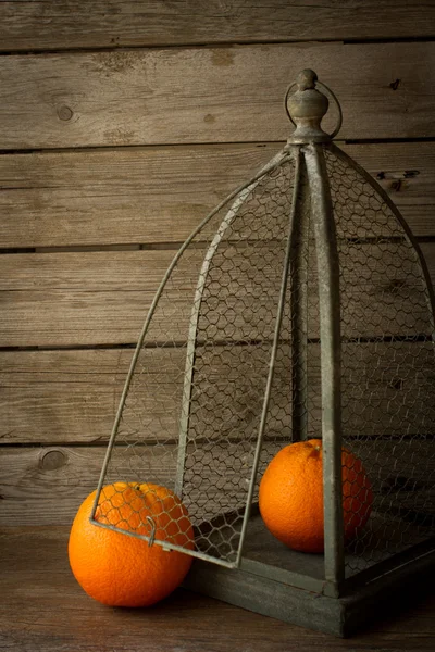 Naranja madura naranja en una jaula para pájaros —  Fotos de Stock