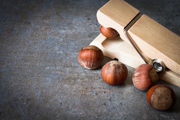 Hazelnuts in shell with clothespins — Stock Photo, Image