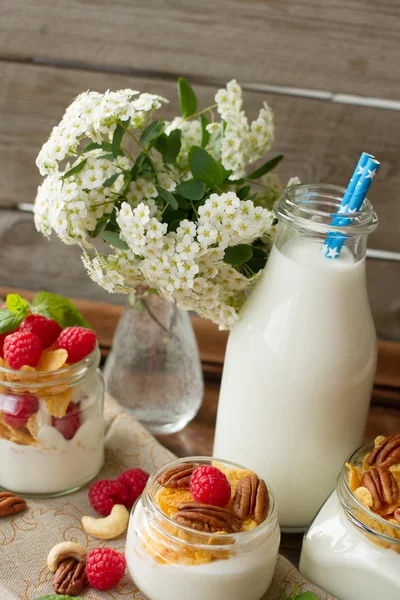 Jogurt k snídani s ořechy, Malina a mléko. — Stock fotografie