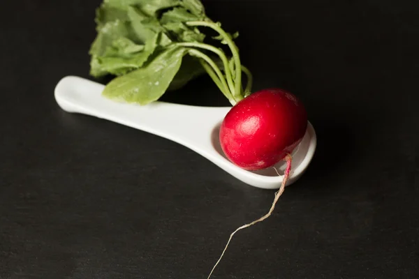 Weißer Rettich in Kapazität auf grauem Hintergrund — Stockfoto