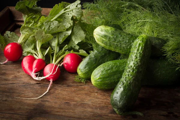 Ensalada de rábano y pepino y eneldo para el verano —  Fotos de Stock